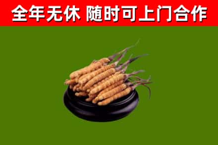 上栗县烟酒回收冬虫夏草.jpg